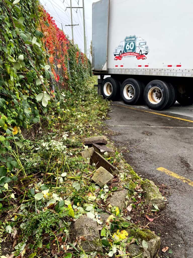 A large white trailer is parked on concrete near a wall covered in green and red ivy. The wall has a small section of loose stone bricks at its base.